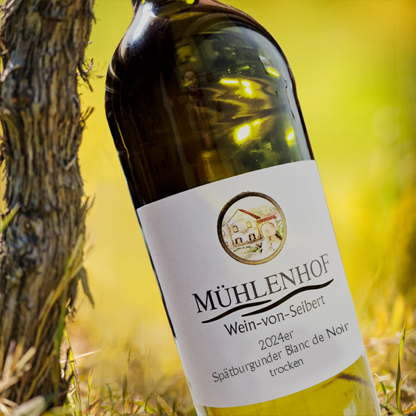 <br><h3>02D/24</h3>2024er Spätburgunder Blanc de Noirs trocken 0,75l<br>